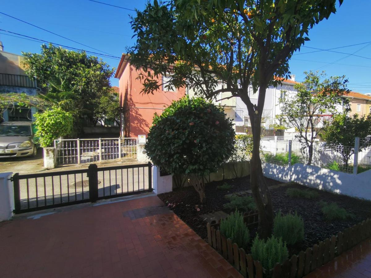 Villa Coimbra - Casa Inteira Экстерьер фото