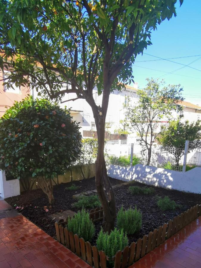 Villa Coimbra - Casa Inteira Экстерьер фото